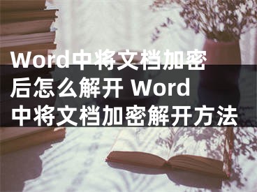 Word中將文檔加密后怎么解開 Word中將文檔加密解開方法