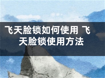 飛天臉鎖如何使用 飛天臉鎖使用方法