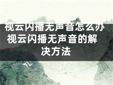 視云閃播無聲音怎么辦 視云閃播無聲音的解決方法