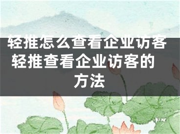 輕推怎么查看企業(yè)訪客 輕推查看企業(yè)訪客的方法