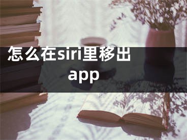 怎么在siri里移出app