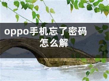 oppo手機(jī)忘了密碼怎么解