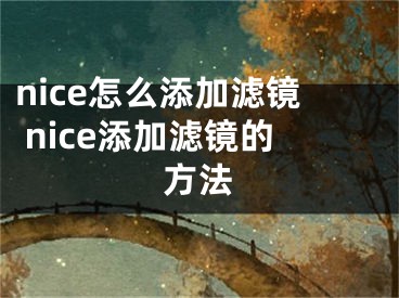 nice怎么添加濾鏡 nice添加濾鏡的方法