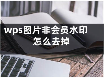 wps圖片非會(huì)員水印怎么去掉