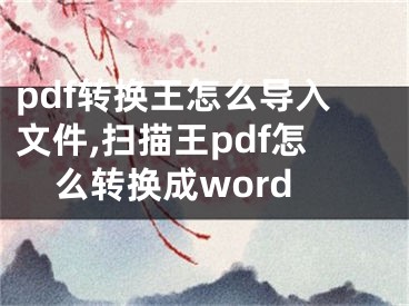 pdf轉(zhuǎn)換王怎么導(dǎo)入文件,掃描王pdf怎么轉(zhuǎn)換成word