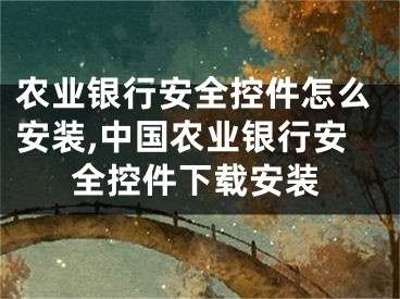 農(nóng)業(yè)銀行安全控件怎么安裝,中國(guó)農(nóng)業(yè)銀行安全控件下載安裝