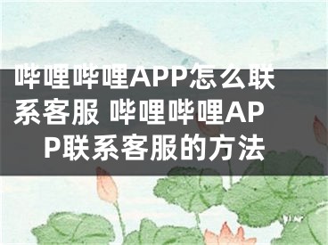 嗶哩嗶哩APP怎么聯(lián)系客服 嗶哩嗶哩APP聯(lián)系客服的方法