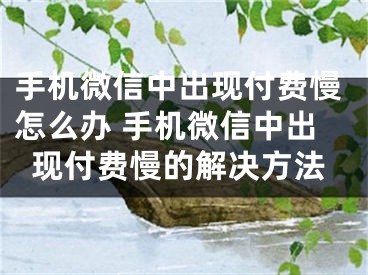 手機微信中出現(xiàn)付費慢怎么辦 手機微信中出現(xiàn)付費慢的解決方法