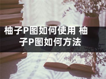 柚子P圖如何使用 柚子P圖如何方法