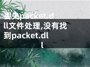 丟失packet.dll文件處理,沒有找到packet.dll