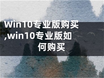 Win10專業(yè)版購(gòu)買,win10專業(yè)版如何購(gòu)買