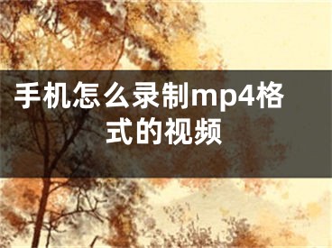 手機(jī)怎么錄制mp4格式的視頻