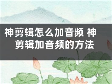 神剪輯怎么加音頻 神剪輯加音頻的方法