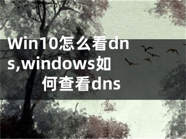 Win10怎么看dns,windows如何查看dns