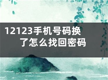 12123手機號碼換了怎么找回密碼