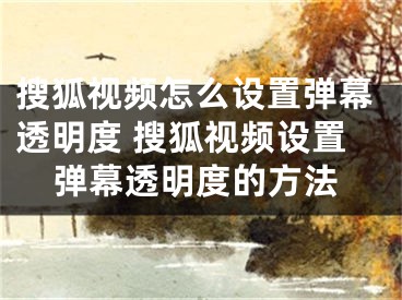 搜狐視頻怎么設(shè)置彈幕透明度 搜狐視頻設(shè)置彈幕透明度的方法