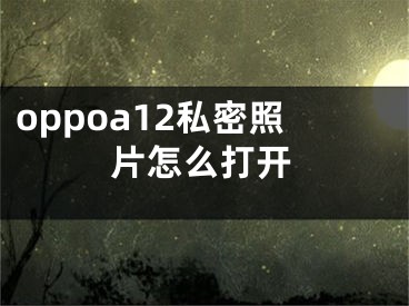 oppoa12私密照片怎么打開