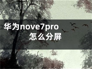 華為nove7pro怎么分屏