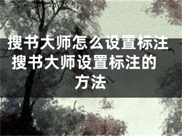 搜書大師怎么設(shè)置標(biāo)注 搜書大師設(shè)置標(biāo)注的方法