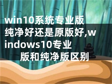 win10系統(tǒng)專業(yè)版純凈好還是原版好,windows10專業(yè)版和純凈版區(qū)別