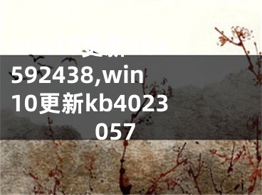 win10更新kb4592438,win10更新kb4023057