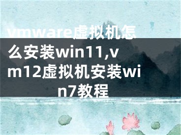 vmware虛擬機(jī)怎么安裝win11,vm12虛擬機(jī)安裝win7教程