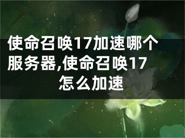 使命召喚17加速哪個(gè)服務(wù)器,使命召喚17怎么加速