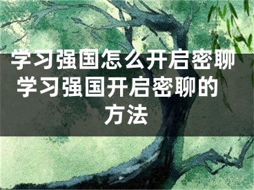 學(xué)習(xí)強(qiáng)國怎么開啟密聊 學(xué)習(xí)強(qiáng)國開啟密聊的方法