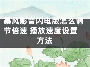 暴風影音閃電版怎么調節(jié)倍速 播放速度設置方法