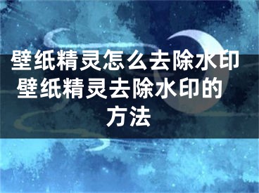 壁紙精靈怎么去除水印 壁紙精靈去除水印的方法