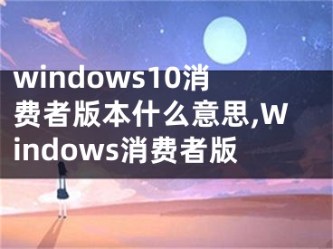 windows10消費者版本什么意思,Windows消費者版