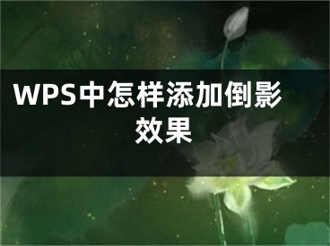 WPS中怎樣添加倒影效果