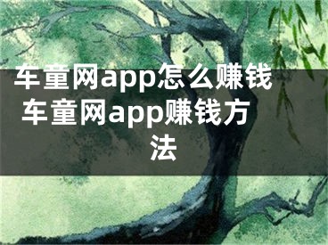 車童網(wǎng)app怎么賺錢 車童網(wǎng)app賺錢方法