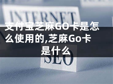 支付寶芝麻GO卡是怎么使用的,芝麻Go卡是什么