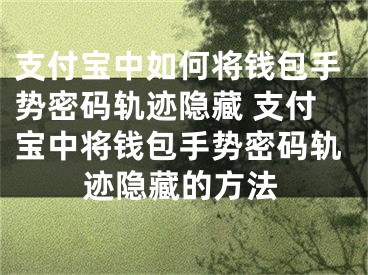 支付寶中如何將錢包手勢密碼軌跡隱藏 支付寶中將錢包手勢密碼軌跡隱藏的方法