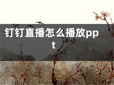 釘釘直播怎么播放ppt