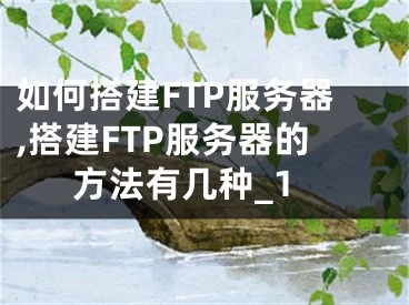 如何搭建FTP服務(wù)器,搭建FTP服務(wù)器的方法有幾種_1