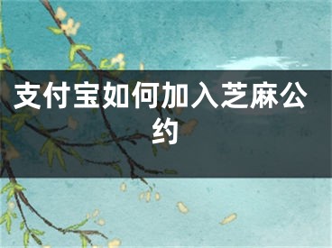 支付寶如何加入芝麻公約