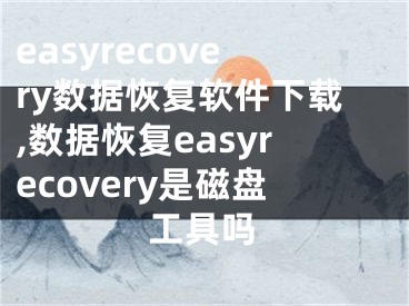 easyrecovery數(shù)據(jù)恢復(fù)軟件下載,數(shù)據(jù)恢復(fù)easyrecovery是磁盤工具嗎