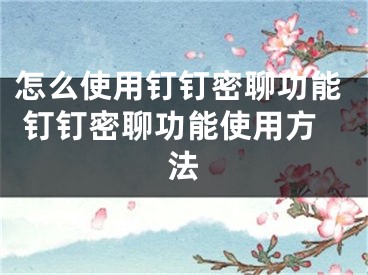 怎么使用釘釘密聊功能 釘釘密聊功能使用方法