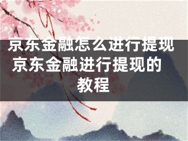 京東金融怎么進(jìn)行提現(xiàn) 京東金融進(jìn)行提現(xiàn)的教程