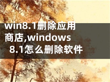 win8.1刪除應(yīng)用商店,windows8.1怎么刪除軟件