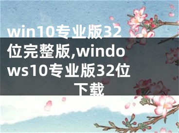 win10專業(yè)版32位完整版,windows10專業(yè)版32位下載