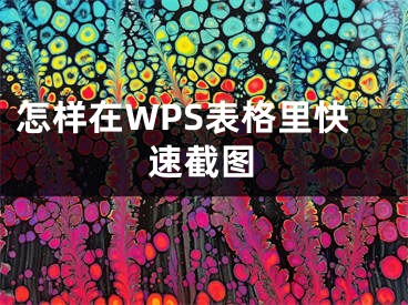 怎樣在WPS表格里快速截圖