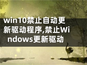 win10禁止自動更新驅動程序,禁止Windows更新驅動