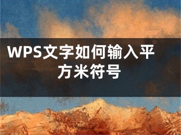 WPS文字如何輸入平方米符號(hào)