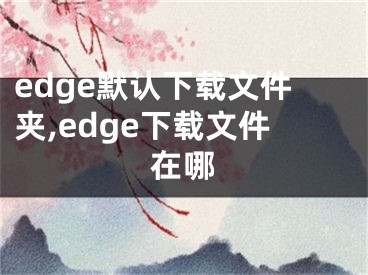 edge默認(rèn)下載文件夾,edge下載文件在哪