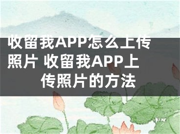 收留我APP怎么上傳照片 收留我APP上傳照片的方法