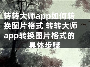 轉(zhuǎn)轉(zhuǎn)大師app如何轉(zhuǎn)換圖片格式 轉(zhuǎn)轉(zhuǎn)大師app轉(zhuǎn)換圖片格式的具體步驟