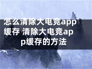 怎么清除大電競app緩存 清除大電競app緩存的方法